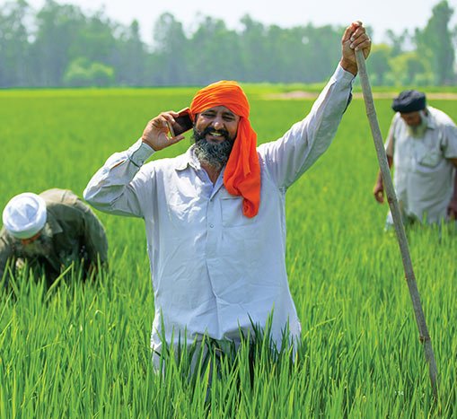 iffcoShop image